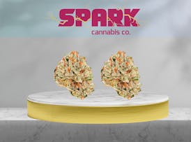Gelato Cake - Elite - $140