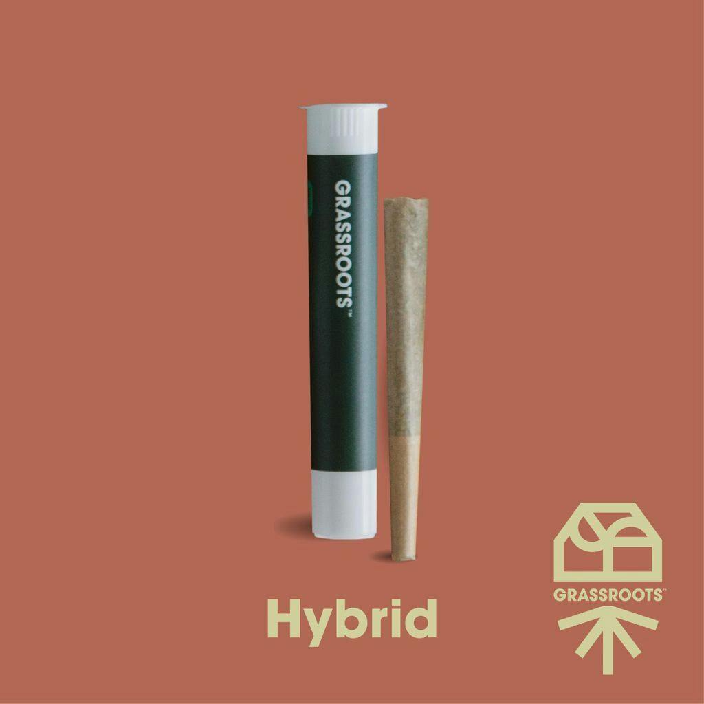 Grassroots Garlic Cookies x TanGMO Pre-Roll 1g at Curaleaf Dispensary Punta Gorda