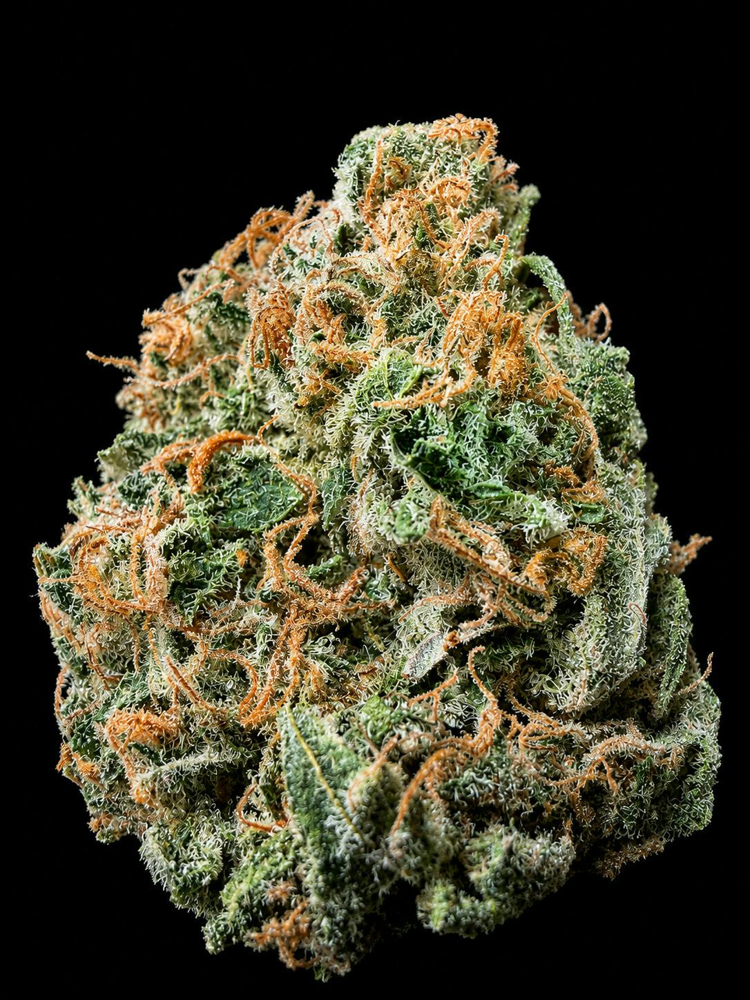 Golden Goat