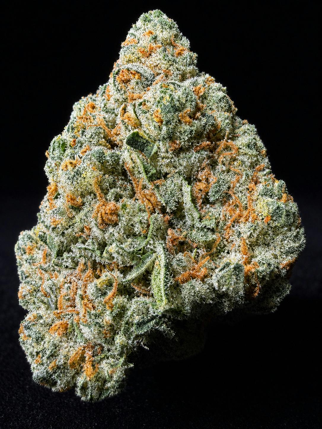 Banana Kush-(I)-Bulk-Natty Rems cannabis product