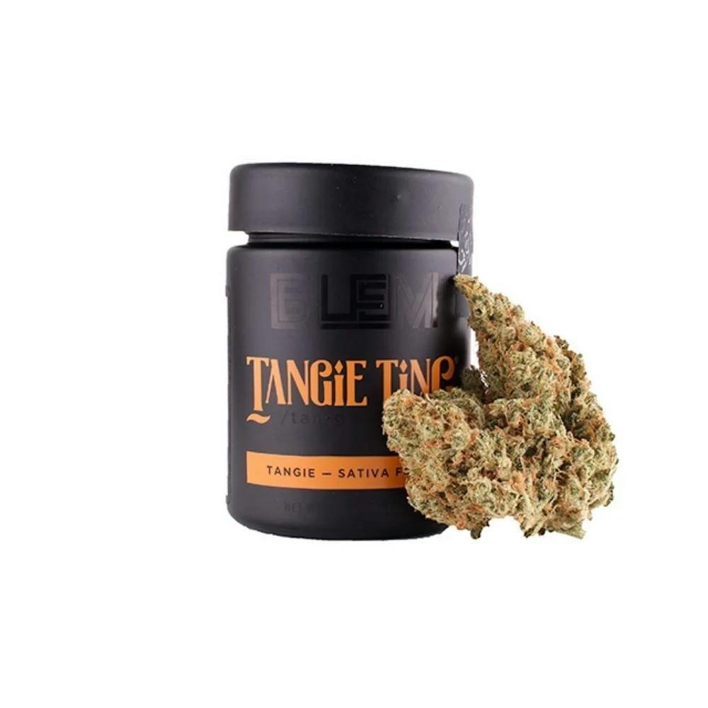 BLEM — Tangie Ting