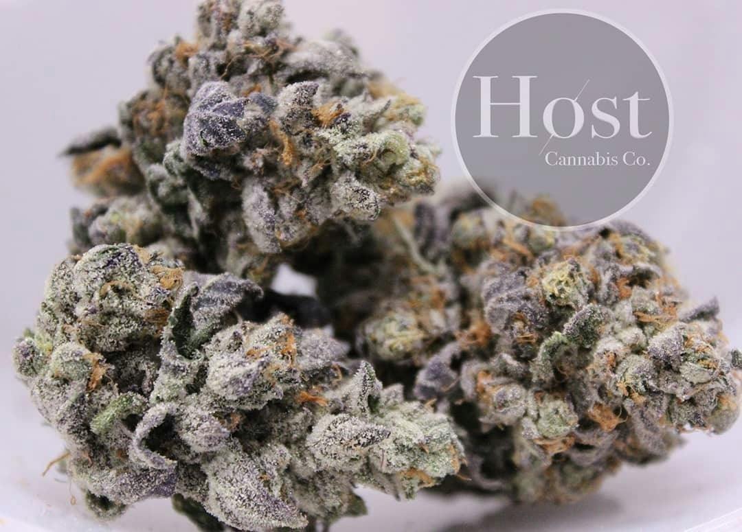 Gelato Cake - Vault (Host)