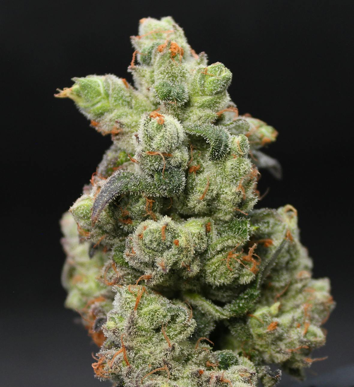 Cherry Pie - Vault (Host)