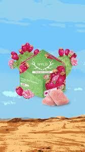 WYLD Gummies - Prickly Pear Sativa