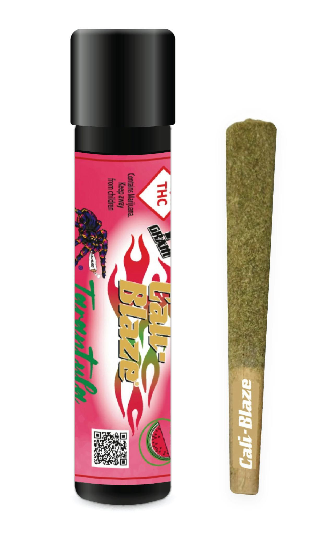 Cali-Blaze Tarantula Infused Pre-Roll 1g - Watermelon Tarantula (Too Much Papaya) (I)