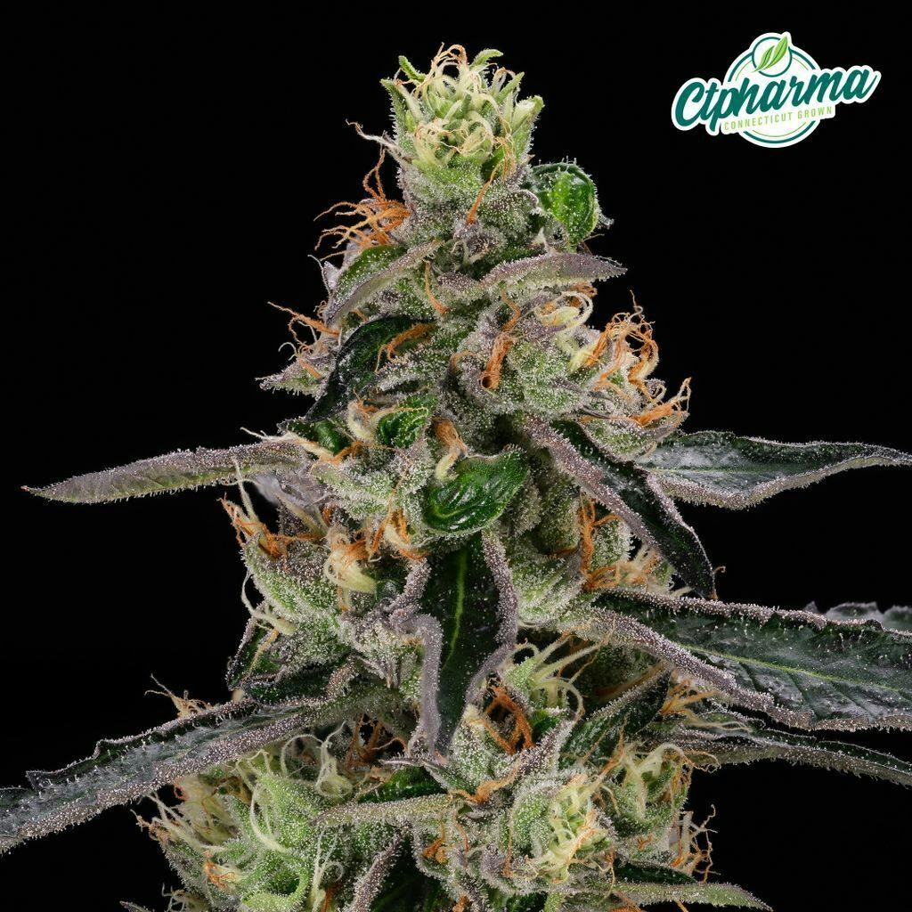 CTPharma Deep Blue Gas 3.5g Flower