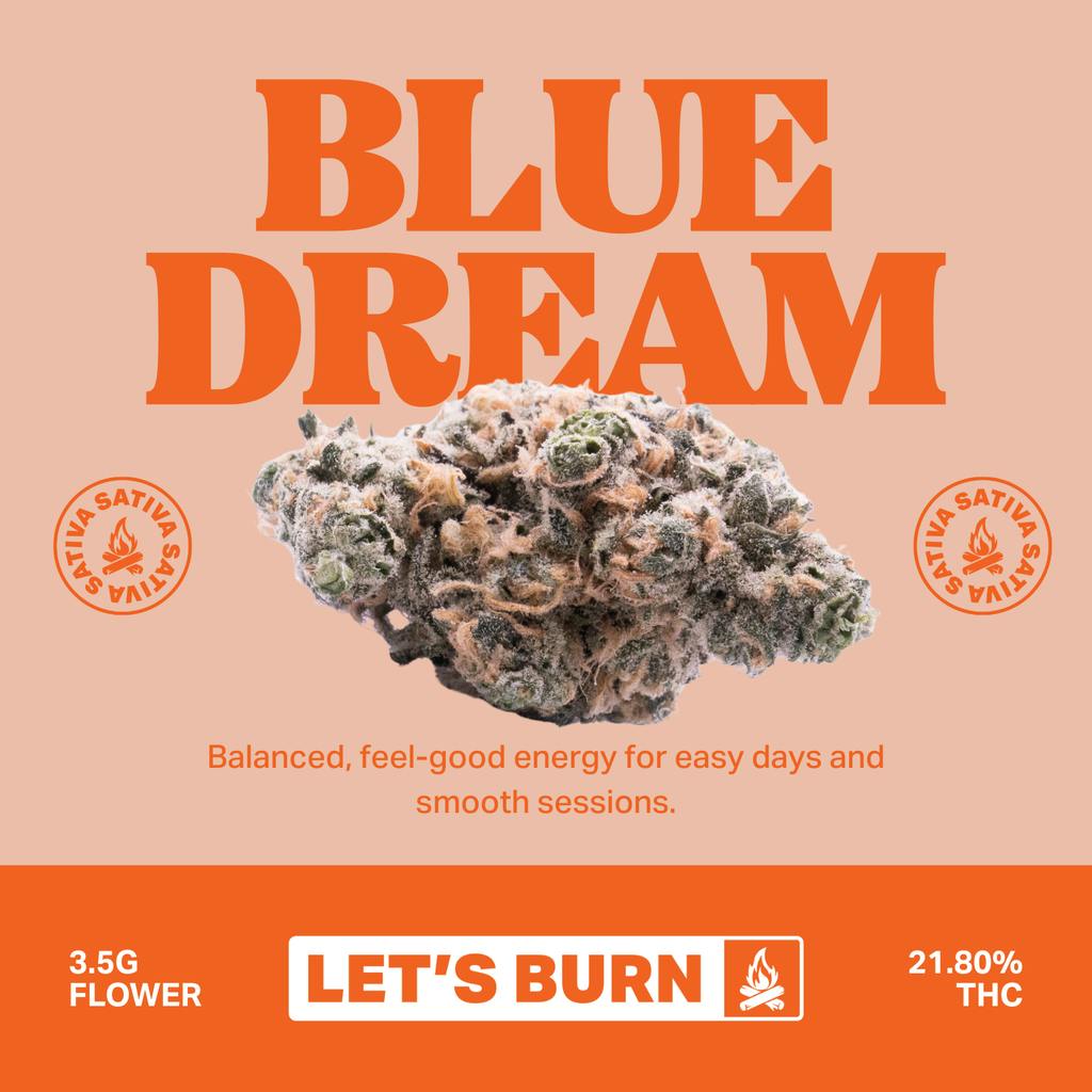 Let's Burn Blue Dream 3.5g Flower