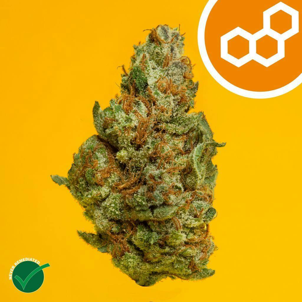 Theraplant Colorado Flo 3.5g Flower