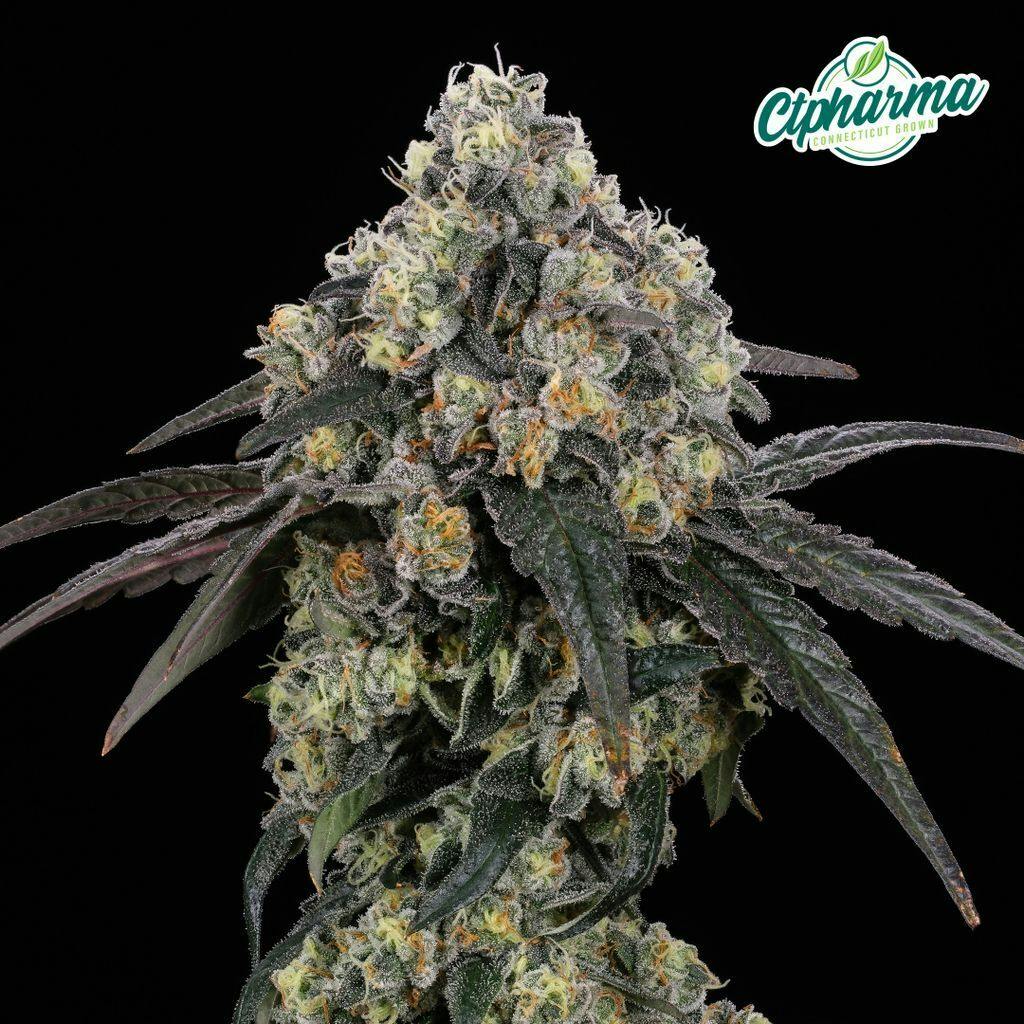 CTPharma E85 3.5g Flower