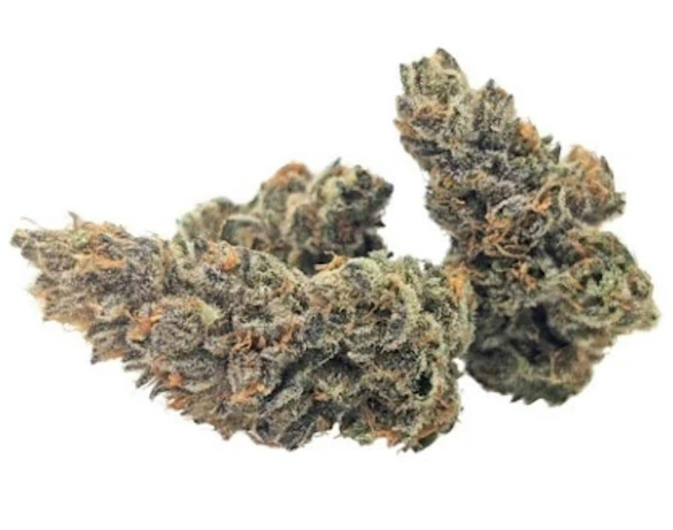 PINK ZUGAR