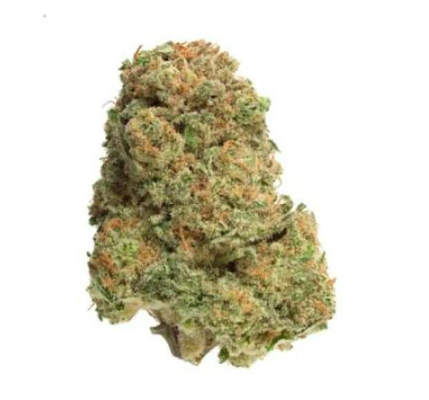 INDICA RTNL FLOWER