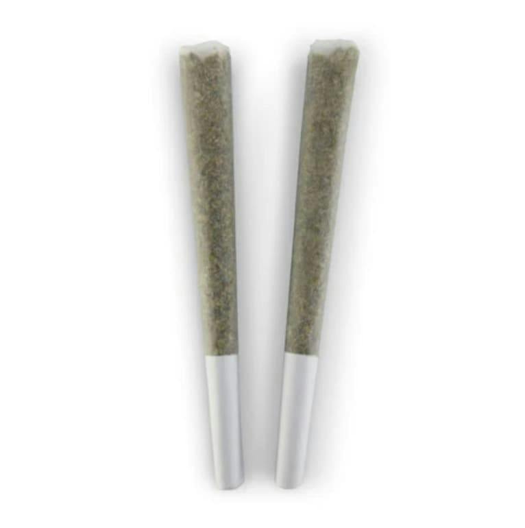BUBBLEGUM ICE CREAM 2-Pack