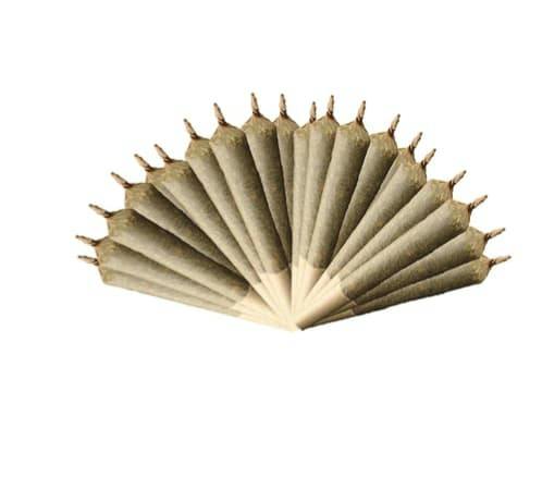 INDICA 420 PRE-ROLLS