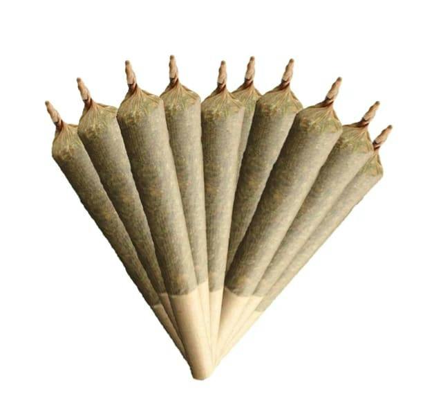 SATIVA 20% PLUS 3-PACK