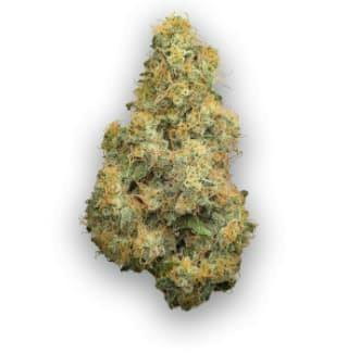 PURE CAKE SKUNK
