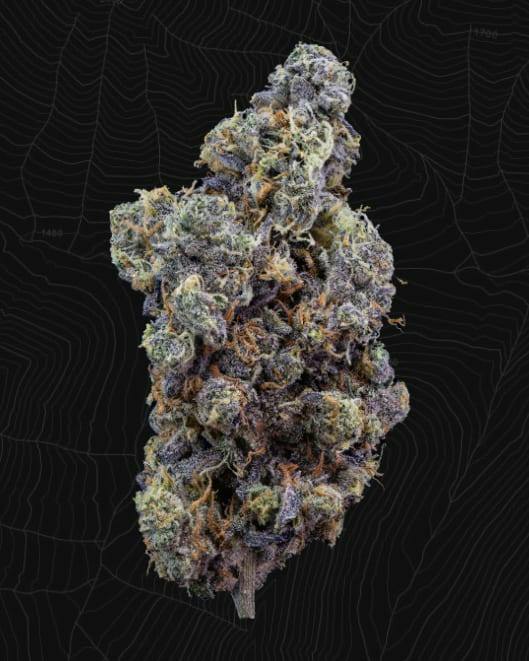 Organic Mint Chocolate Chip