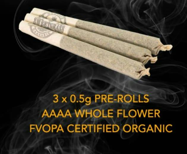 MINT CHOCOLATE CHIP PRE-ROLLS