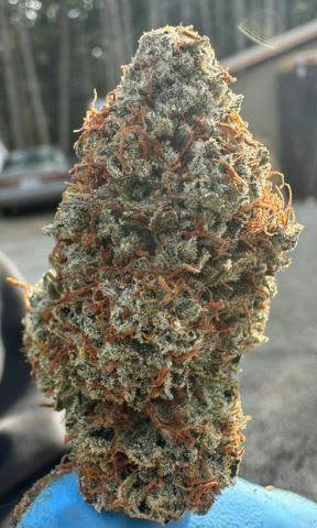 Jelly Breath
