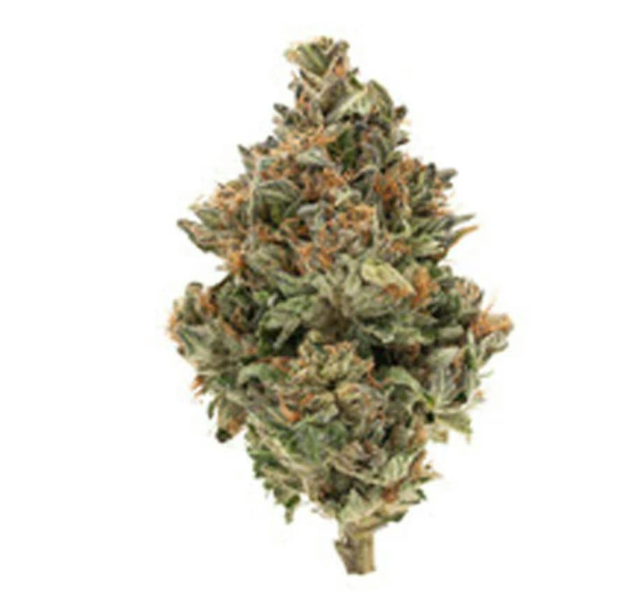 BC ORGANIC FIRE OG