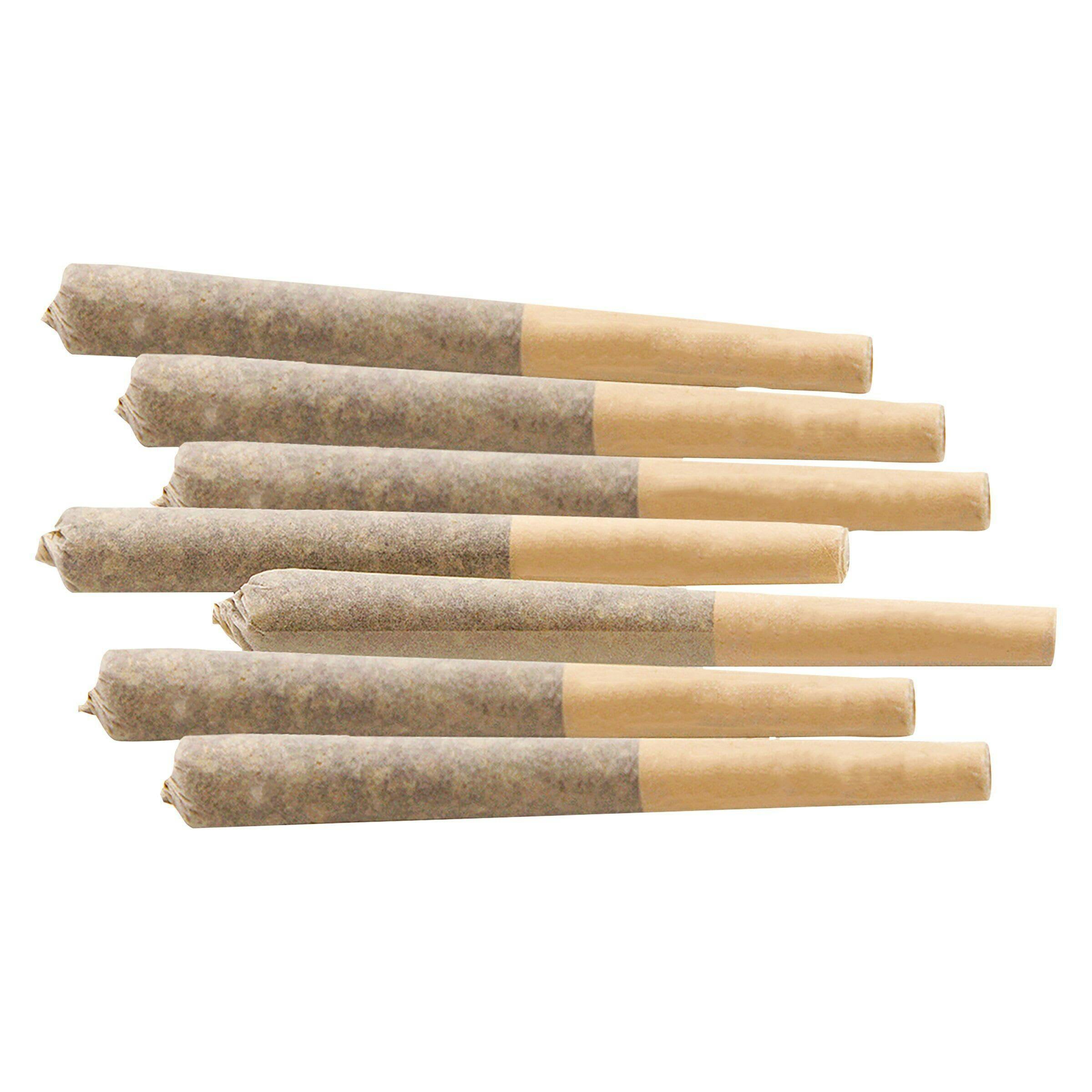 NOSTALGIA INFUSED CRAFT 7-Pack
