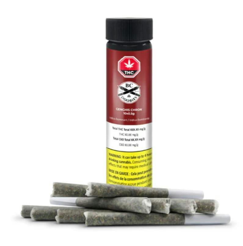 GENGHIS CHRON 10-Pack