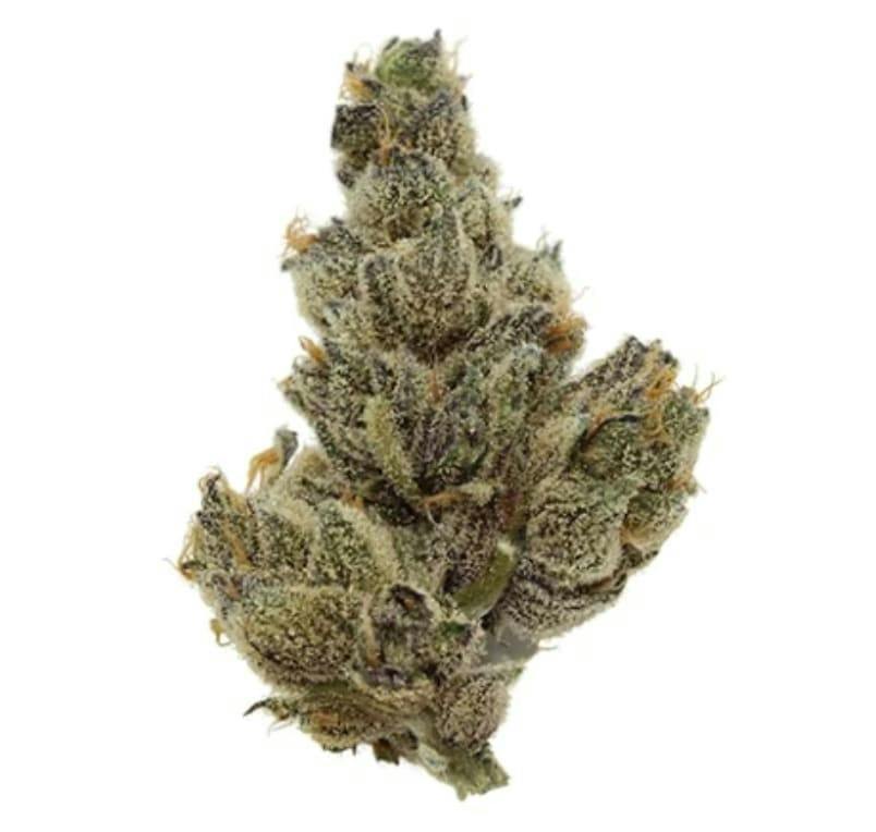 GRAPE GASSER