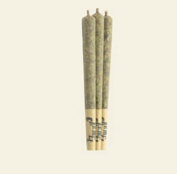 ANIMAL FACE 3-Pack