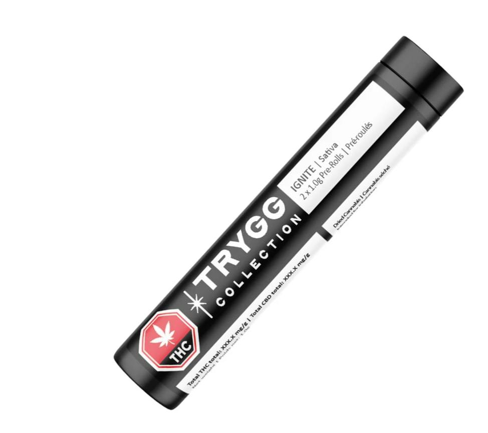 IGNITE 2-Pack