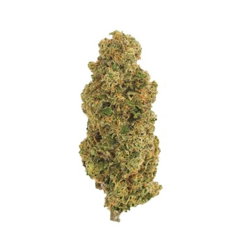 POMELO SKUNK
