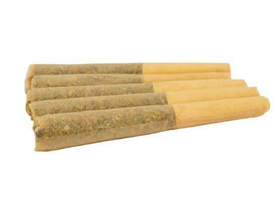 CHARLOTTE'S GLUE 5-Pack