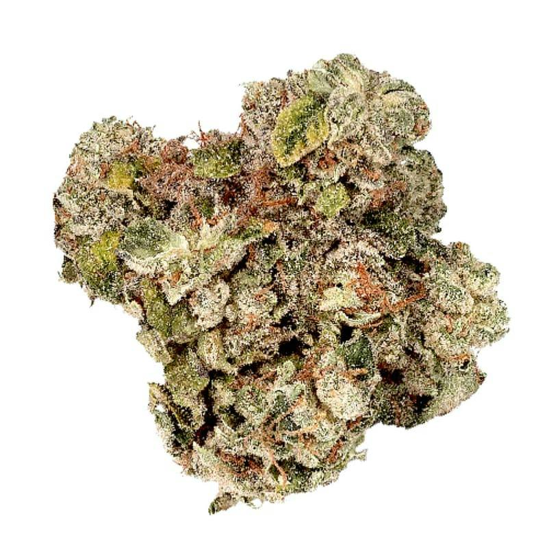 PLATINUM PINK BANANA