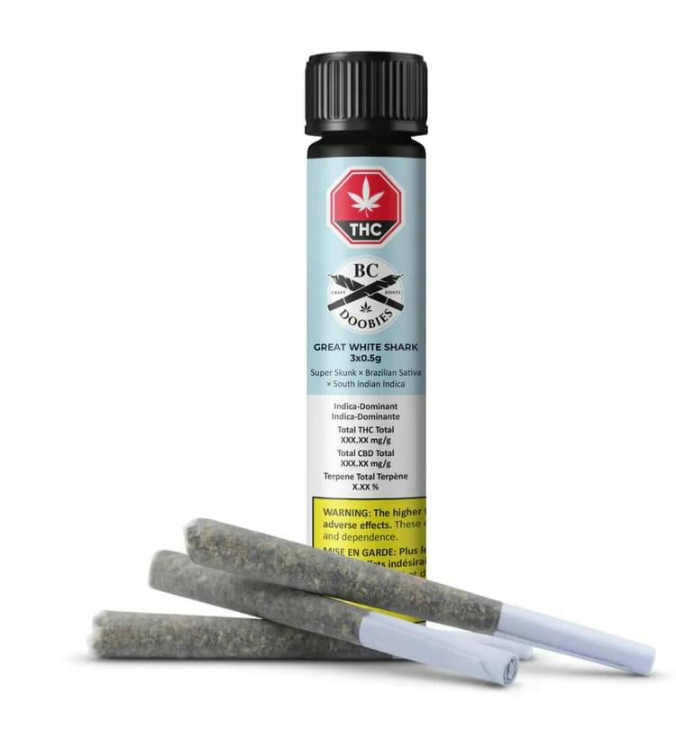 GREAT WHITE SHARK PRE-ROLL