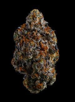 Lemon Cherry Pie