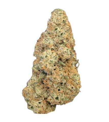 BC Organic Lemolada