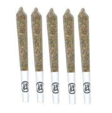 GASOLINA PRE-ROLLS