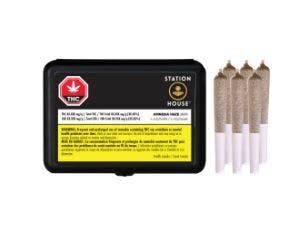 Amnesia Haze 6 x