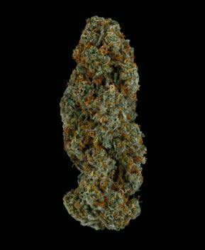 Lilac Diesel