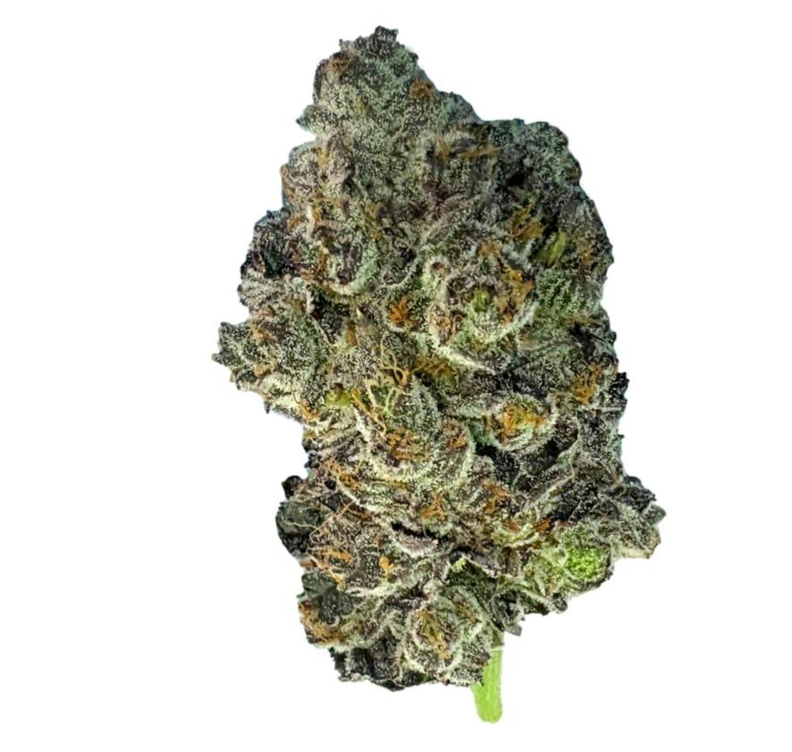 PINK ZKITTLEZ