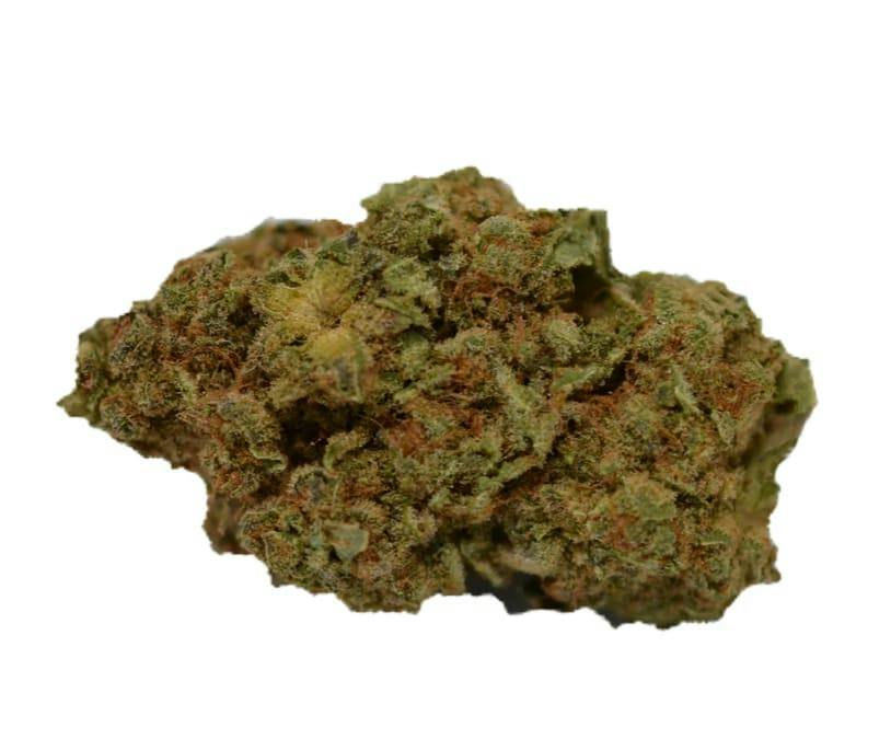 RIPPED HYBRID DRIED FLOWER