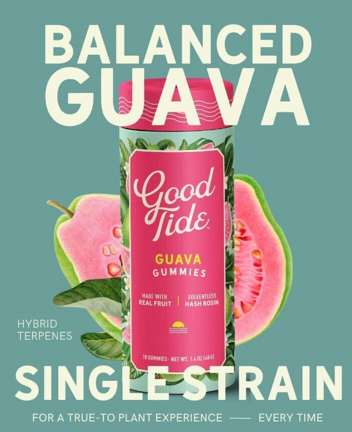 Guava - Gummy -Hybrid - 100 mg - 10 Pack