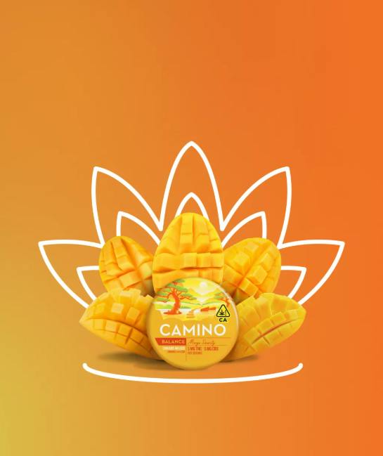 Mango Serenity - 1:1 THC:CBD - Hybrid - 100 mg - 20 Pack