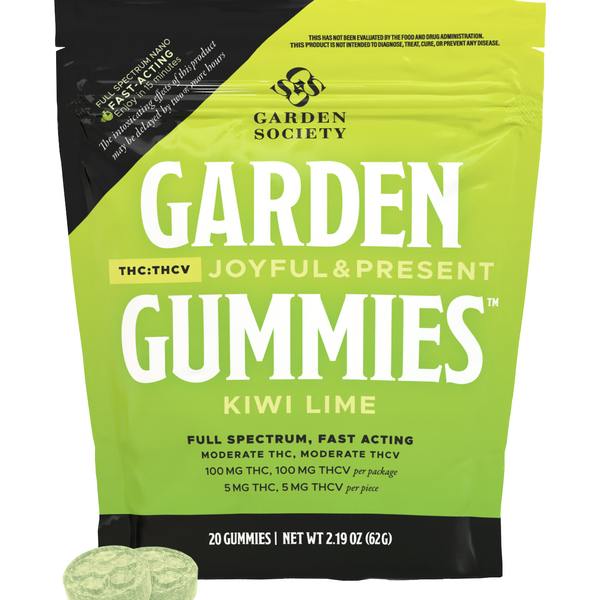 Kiwi Lime - Gummy - Hybrid - 100 mg - 20 Pack