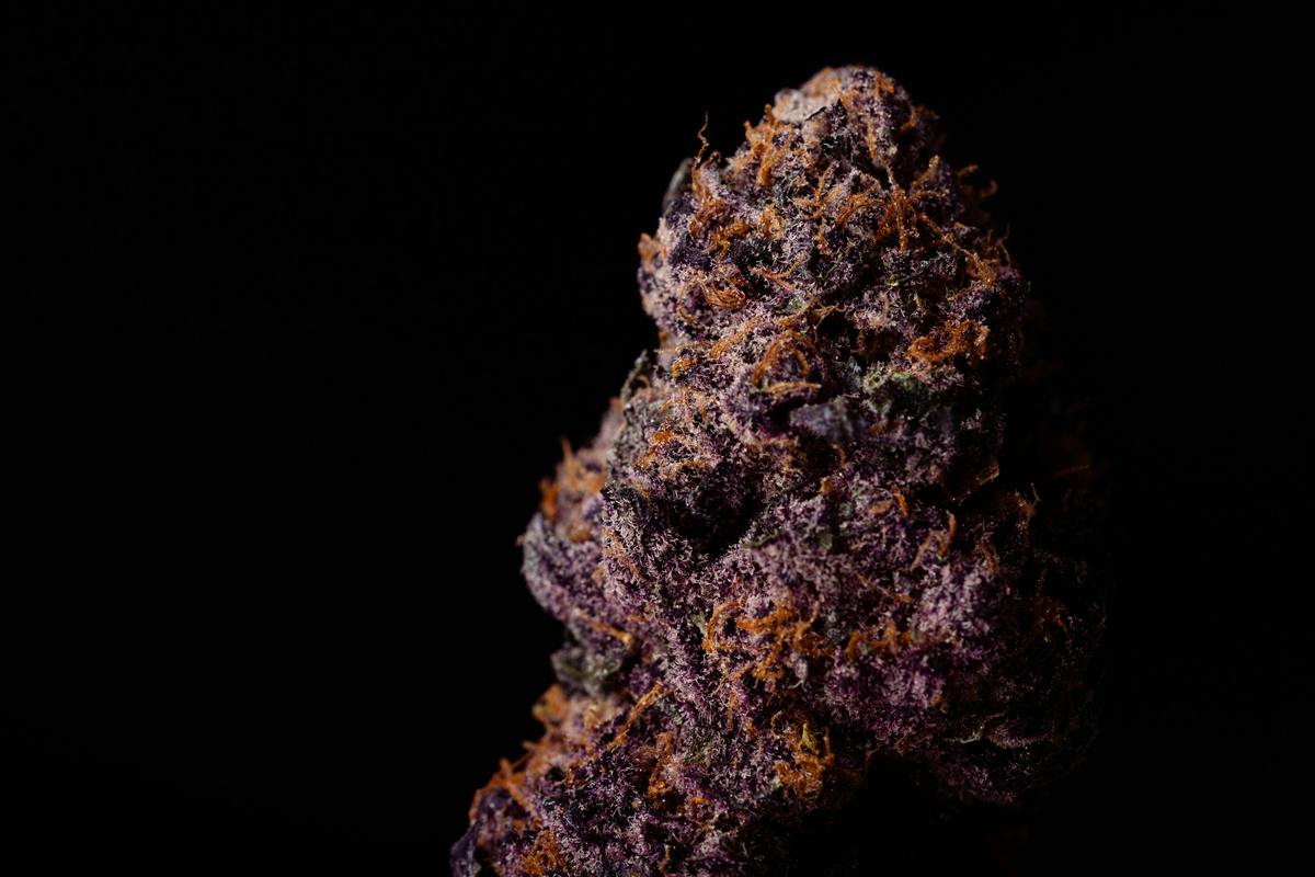Negroni - Roll Ready - S/I - 7 g