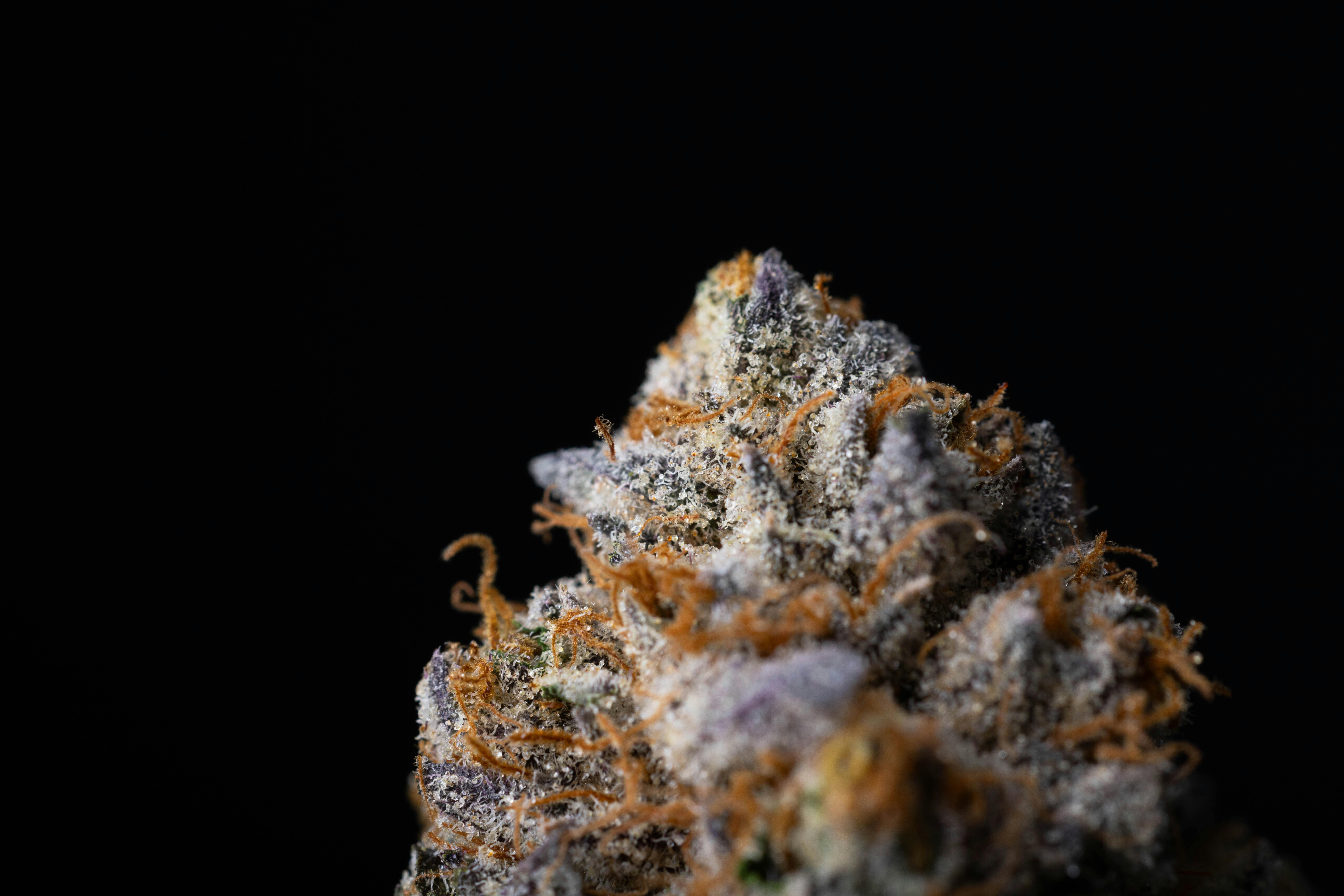 Limesicle - Flower - S/I - 3.5 g