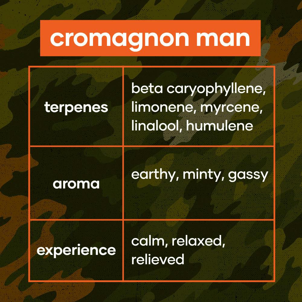 CODES: Flower | Cromagnon Man