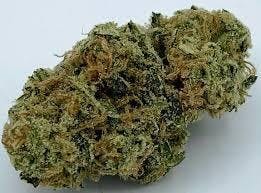 Honey Banana