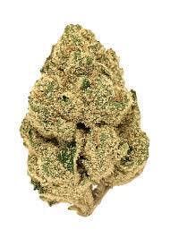 California Dreamin Bulk (OG)