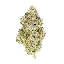 Nutcrackerz Bulk (OG)