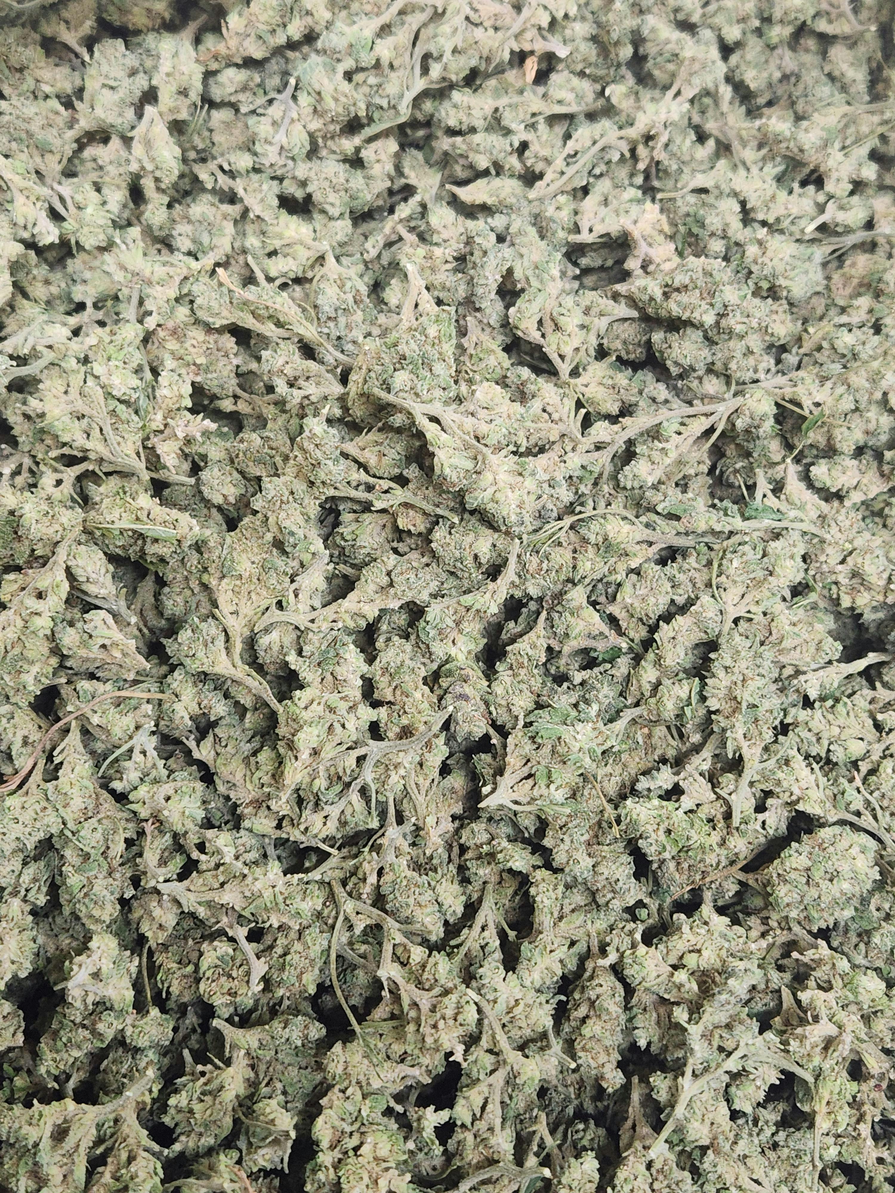 Divine Cultivation 3.5g MAC 1 Flower 16.9% H