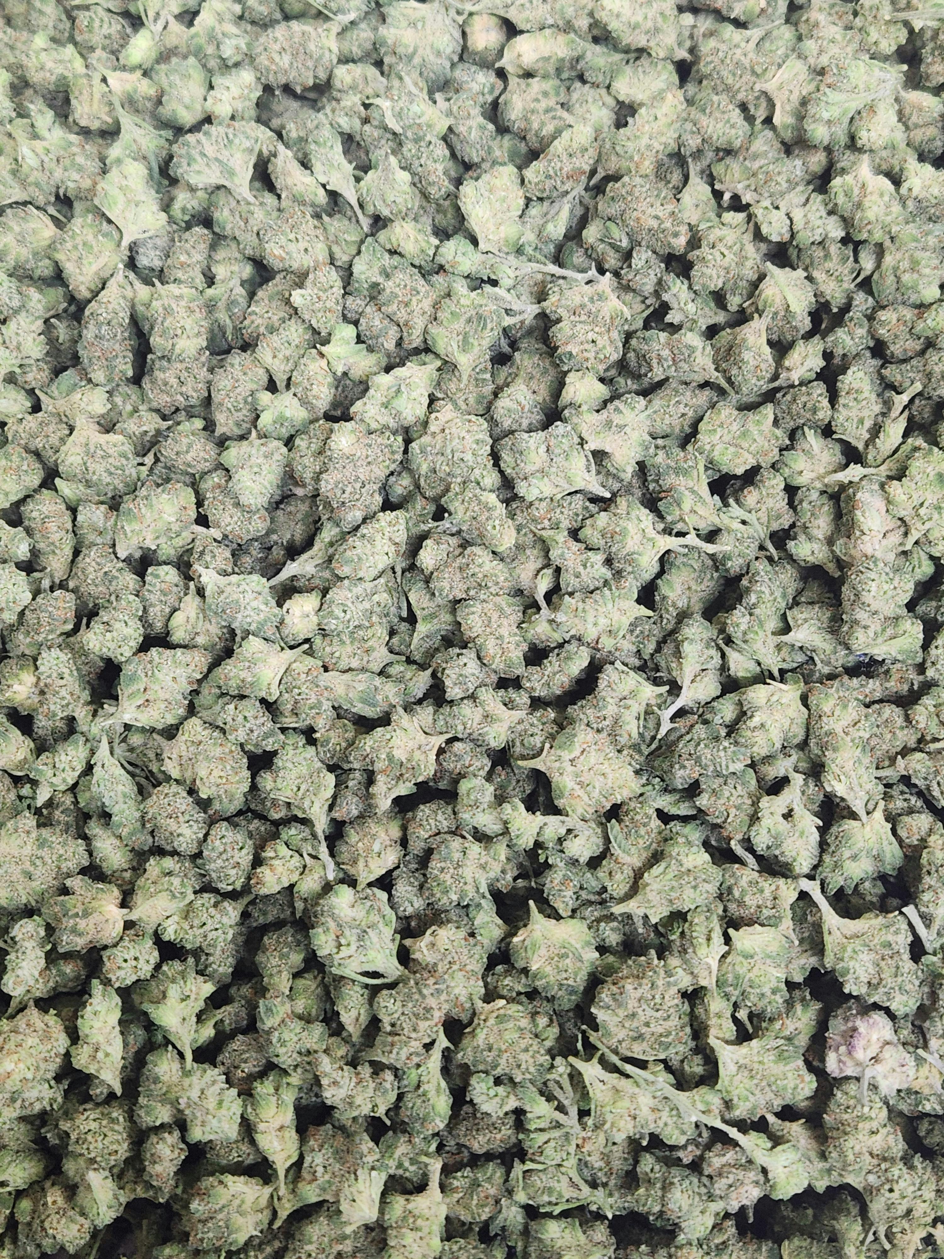Divine Cultivation 3.5g OG18 Flower 18.9% H